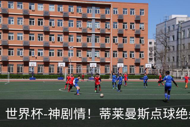 世界杯-神剧情！蒂莱曼斯点球绝杀 比利时加时3-2塞内加尔