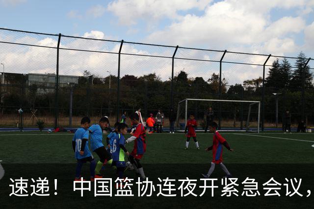 速递！中国篮协连夜开紧急会议，杜锋或顶替郭士强，赵继伟打封闭上阵